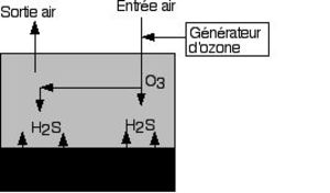 odeursstep8